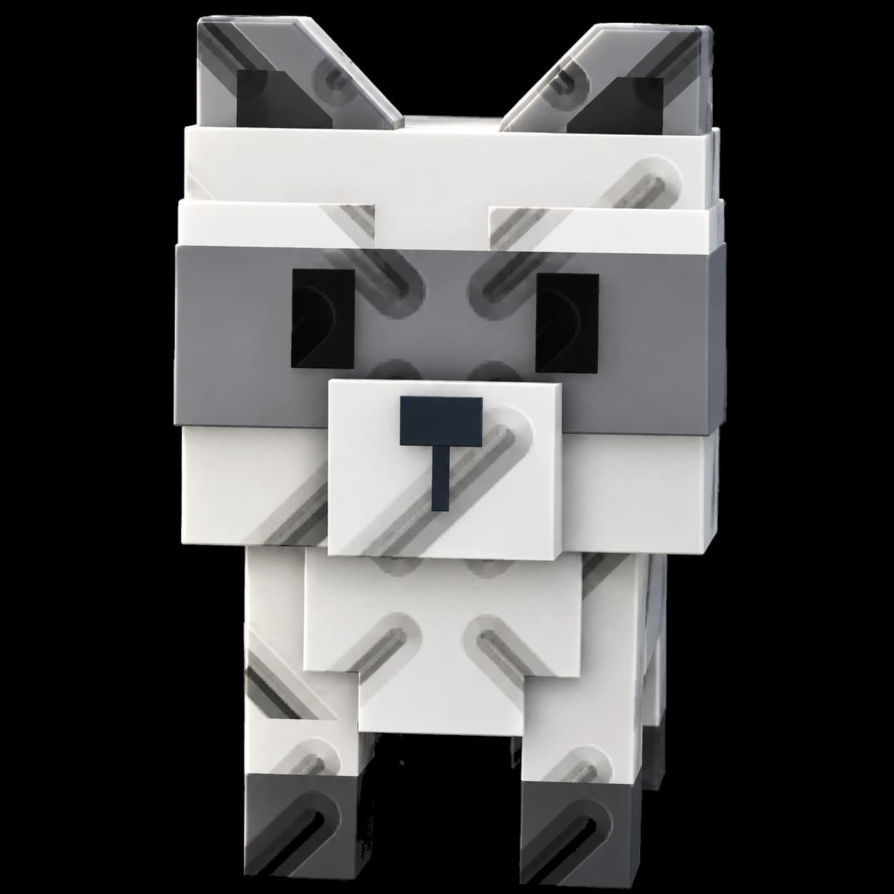 Raccoon